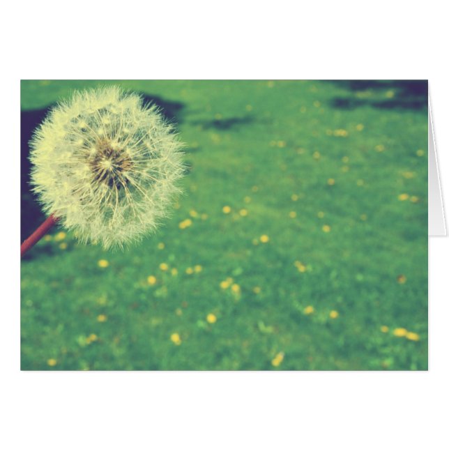 Spring Vintage Wishes Photography (Front Horizontal)