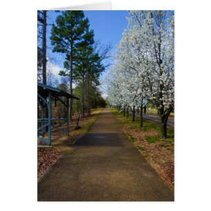 Spring Walk