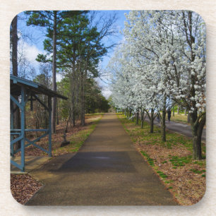 Spring Walk Coaster