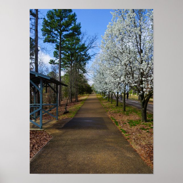 Spring Walk Poster (Front)