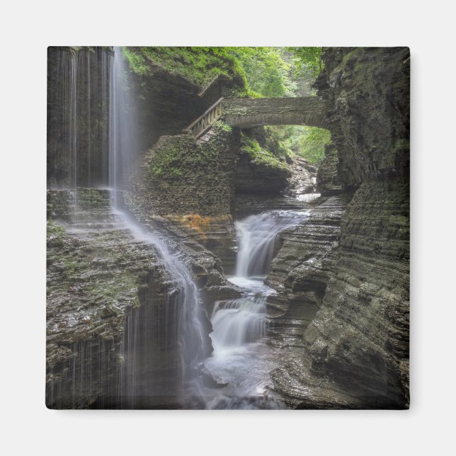 Spring Waterfalls at Watkins Glen Magnet (Front)