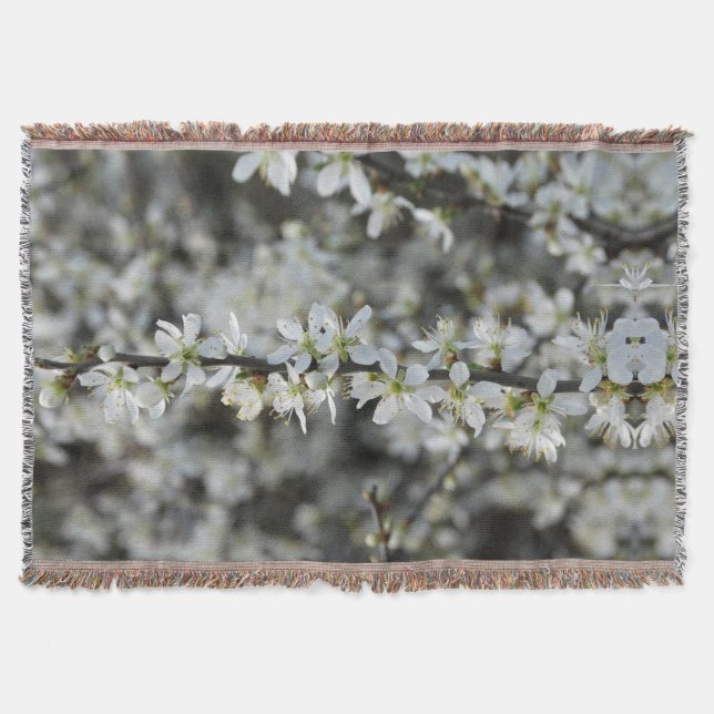 Spring,White Blossoms Photo Throw Blanket (Front)