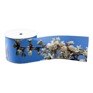 Spring white cherry Blossoms Grosgrain Ribbon