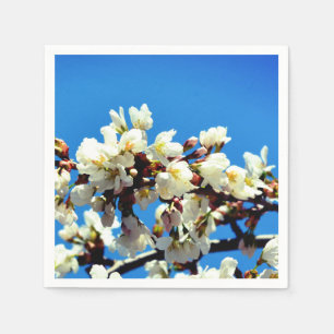 Spring white cherry Blossoms, white flowering tree Napkin