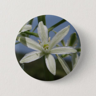 Spring White Flower Button