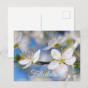 Spring white greetings postcard
