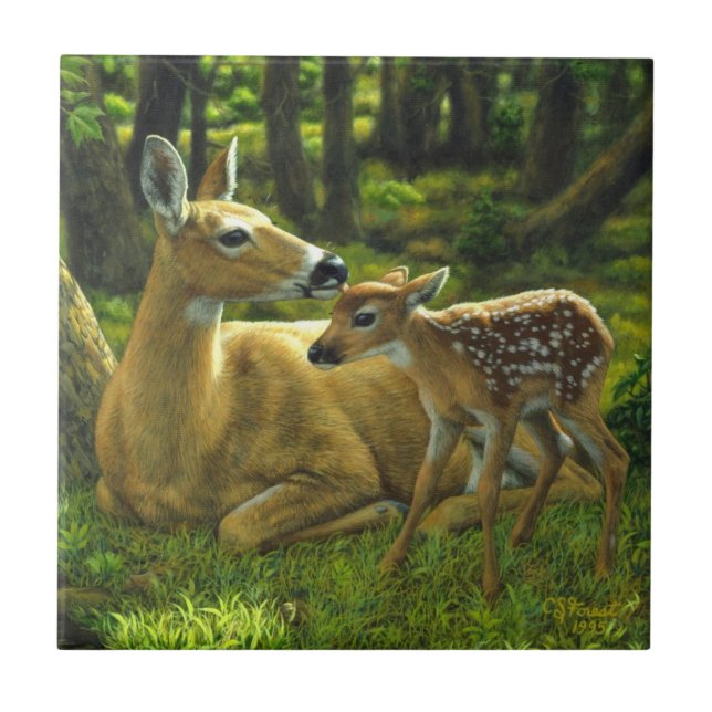 Spring Whitetail Fawn and Mother Deer Tile (Front)