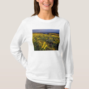 Spring wildflowers in abundance at the Tom T-Shirt