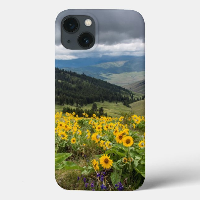 Spring Wildflowers In The Hills Case-Mate iPhone Case (Back)