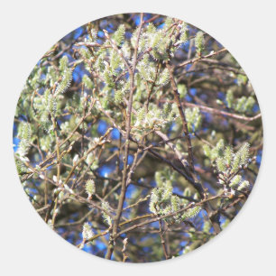 SPRING WILLOW CLASSIC ROUND STICKER