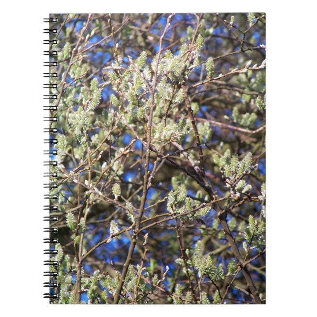 SPRING WILLOW NOTEBOOK (Front)