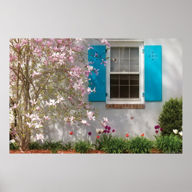Spring Window Poster (Front)