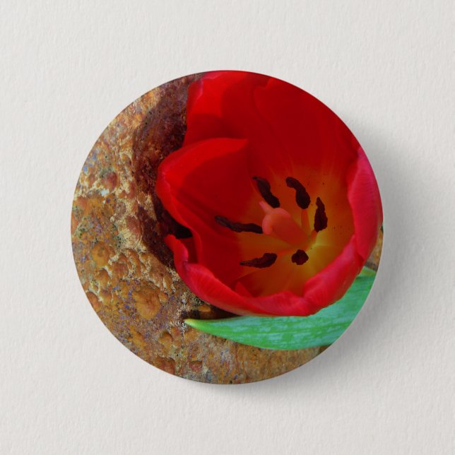 Spring yellow and Red Tulip 6 Cm Round Badge (Front)