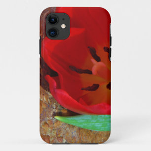 Spring yellow and Red Tulip iPhone 11 Case