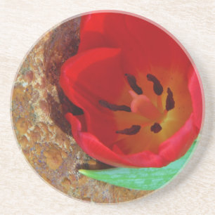 Spring yellow and Red Tulip Coaster