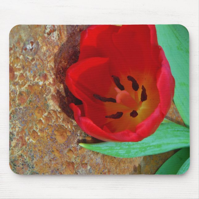Spring yellow and Red Tulip Mouse Mat (Front)