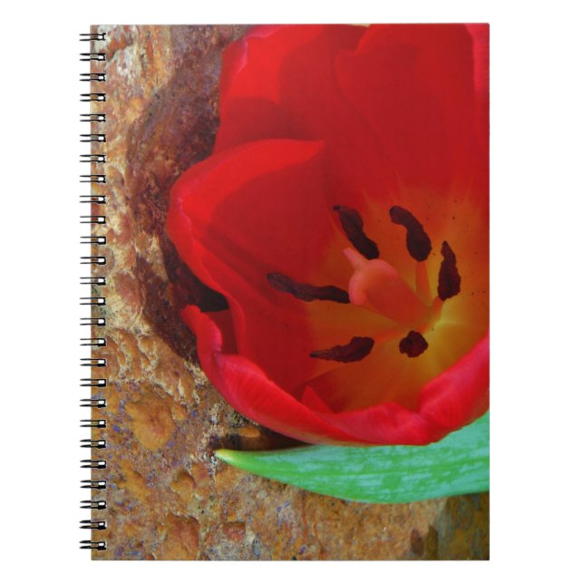 Spring yellow and Red Tulip Notebook (Front)