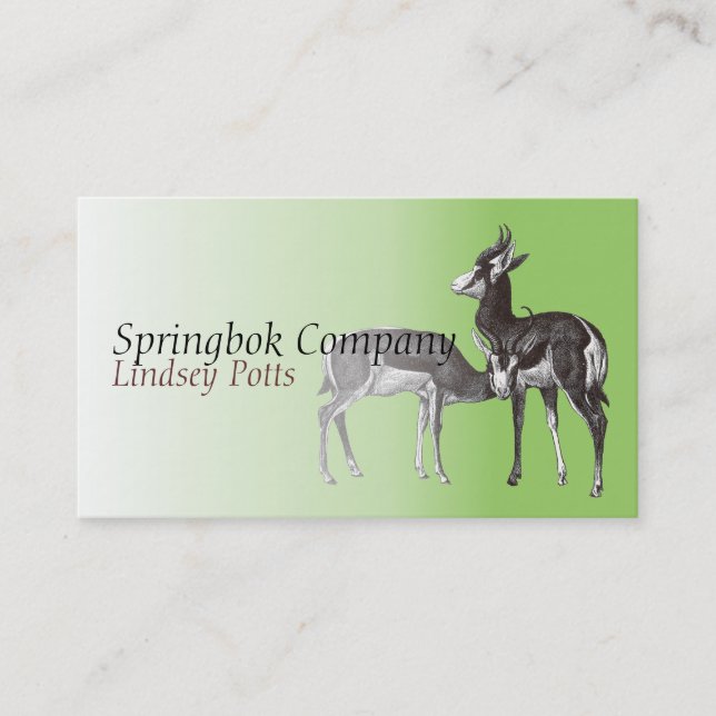 Springbok Business Card (Front)