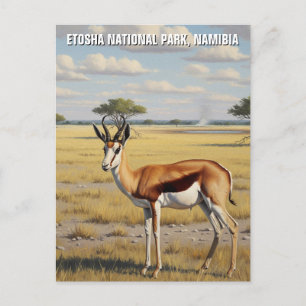 Springbok Etosha National Park Namibia Travel Postcard