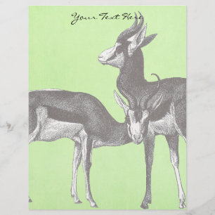Springbok Letterhead