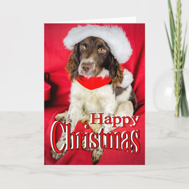 Springer Christmas Holiday Card (Front)
