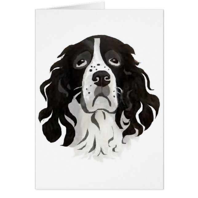 Springer face card (Front)