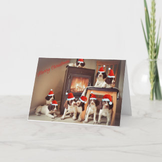 Springer Puppy Christmas Card
