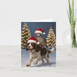 Springer Spaniel and Partridge Christmas card
