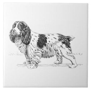 Springer Spaniel Bird Hunting Dog Breed Drawing Tile