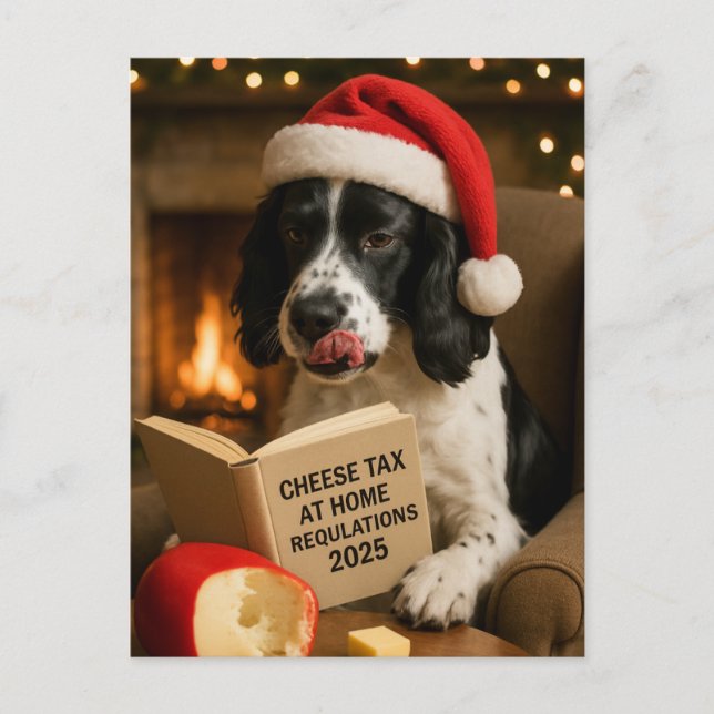Springer spaniel  'Cheese Tax' Christmas postcard (Front)