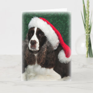 Springer Spaniel Christmas Card