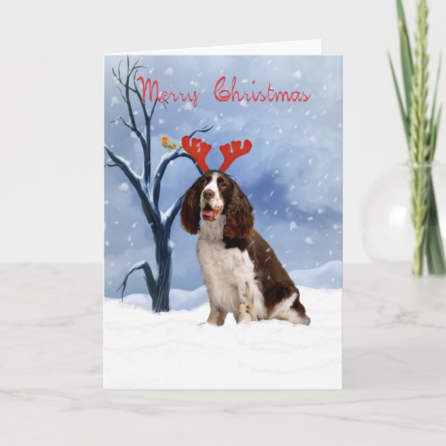 springer spaniel christmas card - springer spanie (Front)