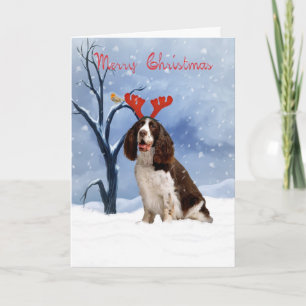 springer spaniel christmas card - springer spanie