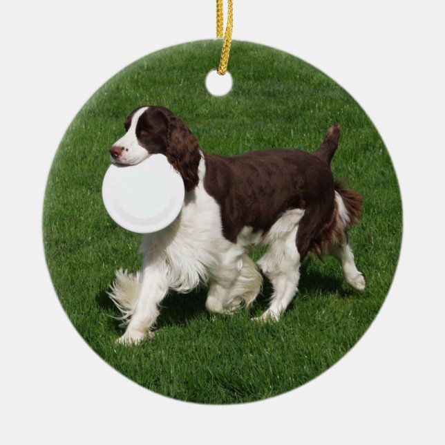 Springer Spaniel Christmas Ornament (Front)
