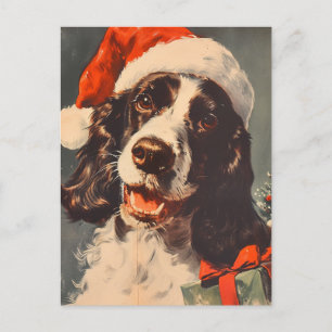 Springer Spaniel Christmas Postcard