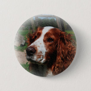 Springer Spaniel Dog Art 6 Cm Round Badge