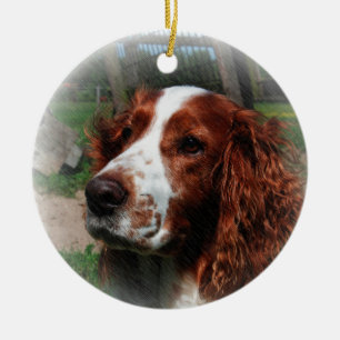 Springer Spaniel Dog Art Ceramic Tree Decoration