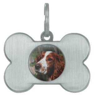 Springer Spaniel Dog Art Pet ID Tag