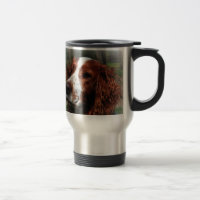 Springer Spaniel Dog Art