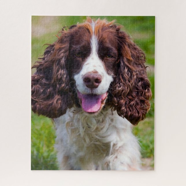 Springer Spaniel Dog Jigsaws. Jigsaw Puzzle (Vertical)