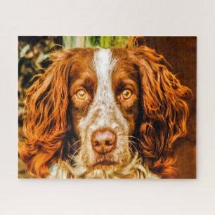 Springer Spaniel Dog Jigsaws. Jigsaw Puzzle