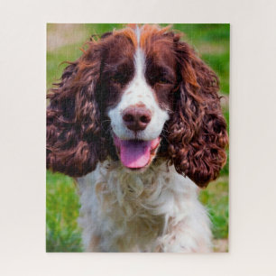 Springer Spaniel Dog Jigsaws. Jigsaw Puzzle