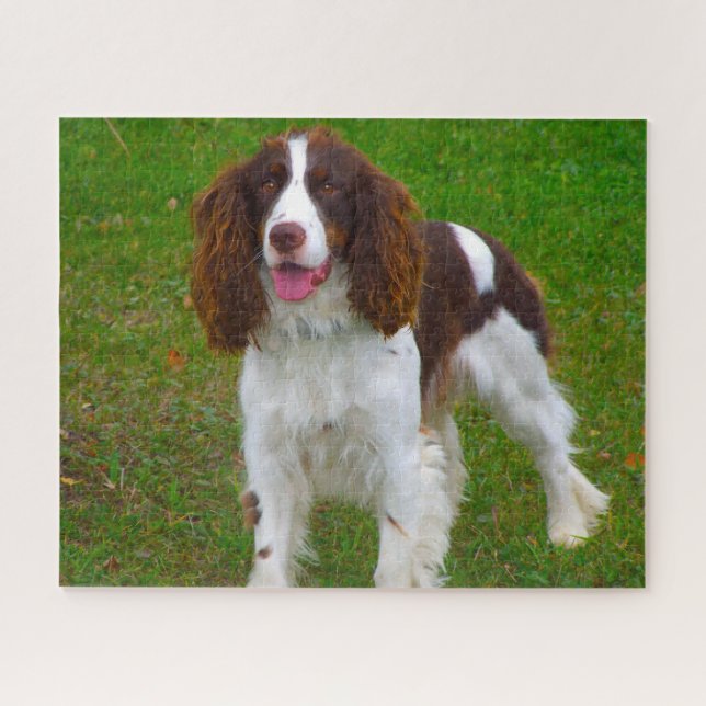Springer Spaniel Dog Jigsaws. Jigsaw Puzzle (Horizontal)