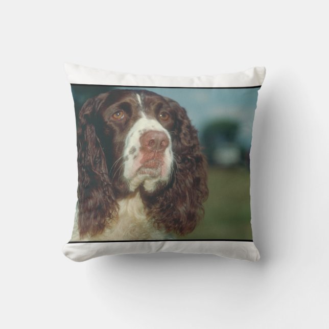 Springer Spaniel Dog MoJo Pillow (Front)