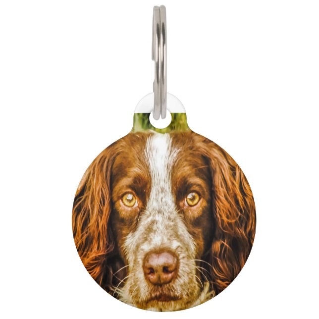 Springer Spaniel Dog. Pet Tag (Front)