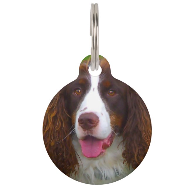 Springer Spaniel Dog. Pet Tag (Front)