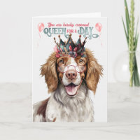Springer Spaniel Dog Queen Day Funny Birthday