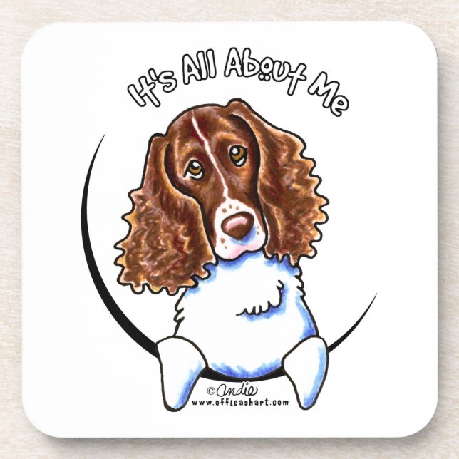Springer Spaniel IAAM Coaster (Front)