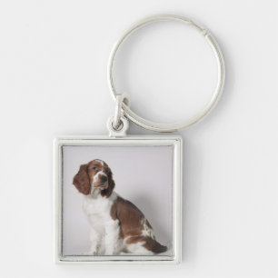 Springer spaniel key ring