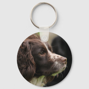 Springer Spaniel Keyring
